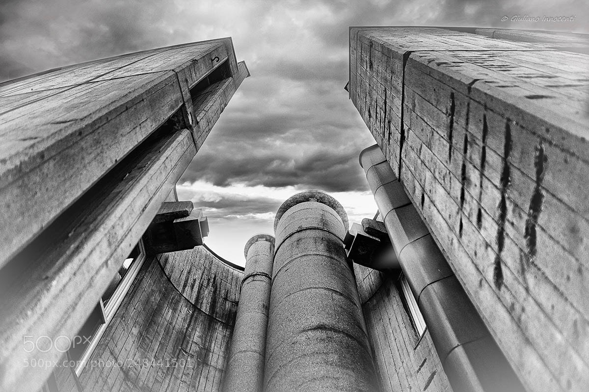 Nikon D7200 sample photo. A look upwards photography