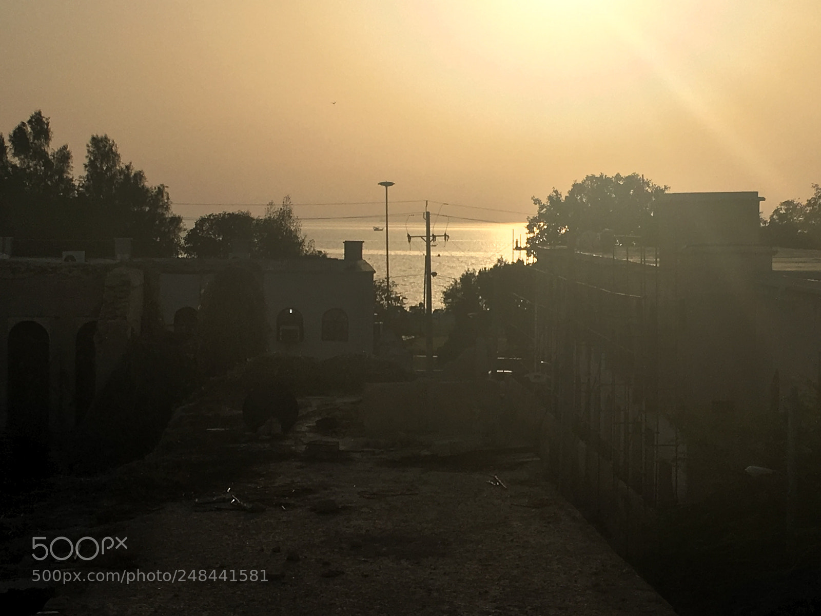 Apple iPhone 6s sample photo. Untitled photography