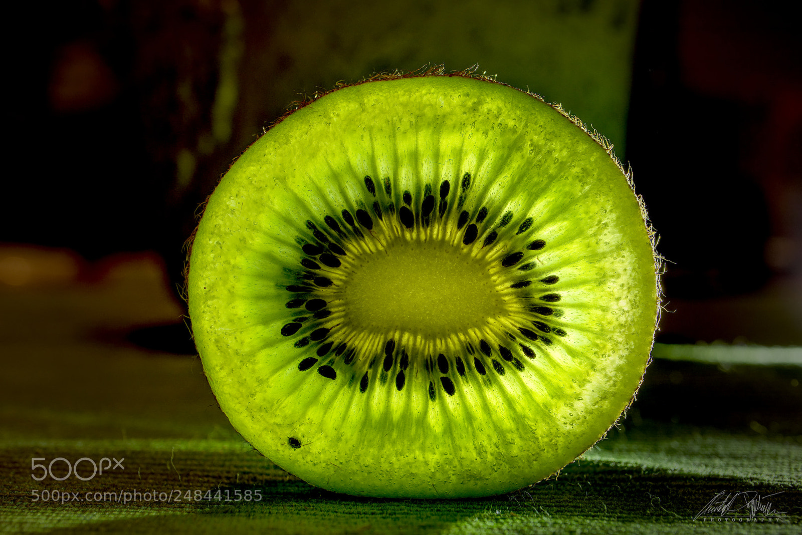 Canon EOS M6 sample photo. Kiwi photography