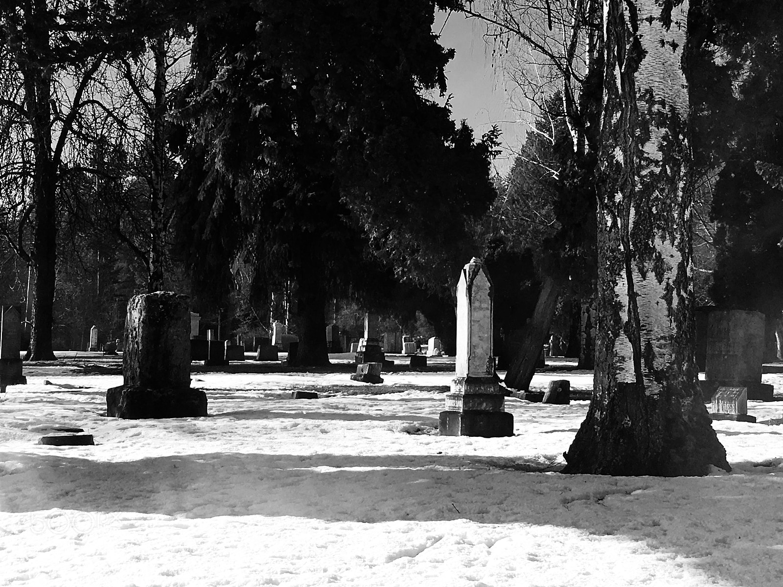 Apple iPhone 6s Plus sample photo. Greenwood on ice photography