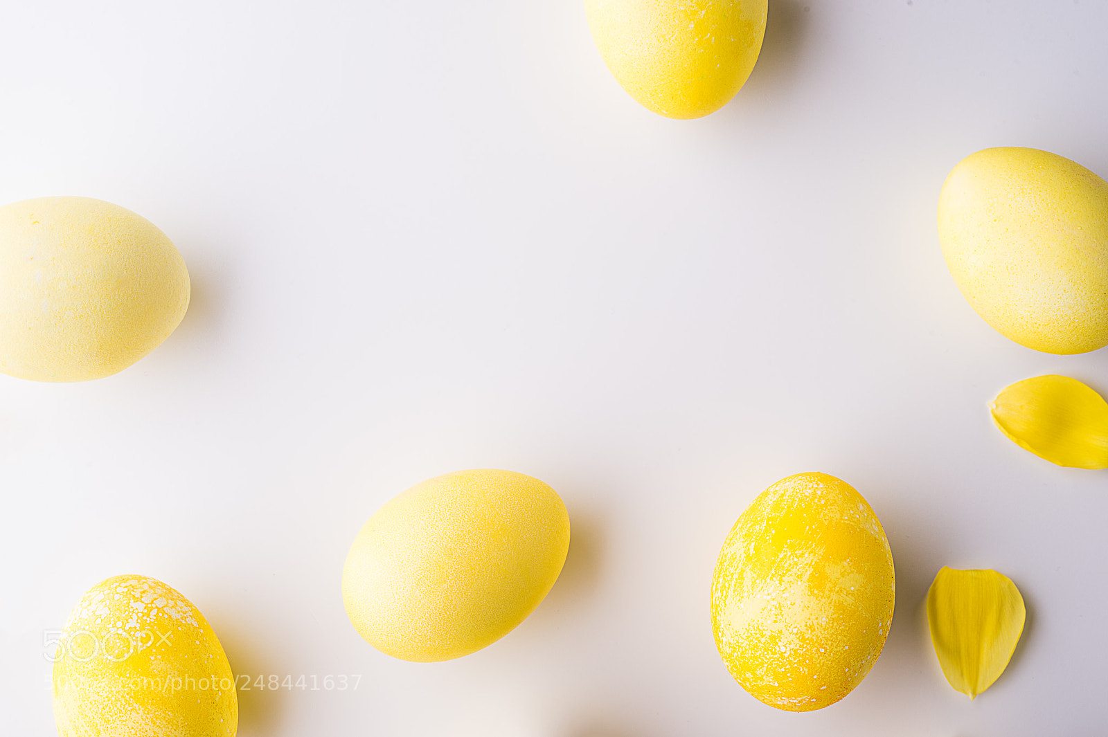 Nikon D4S sample photo. Yellow eggs and flower photography