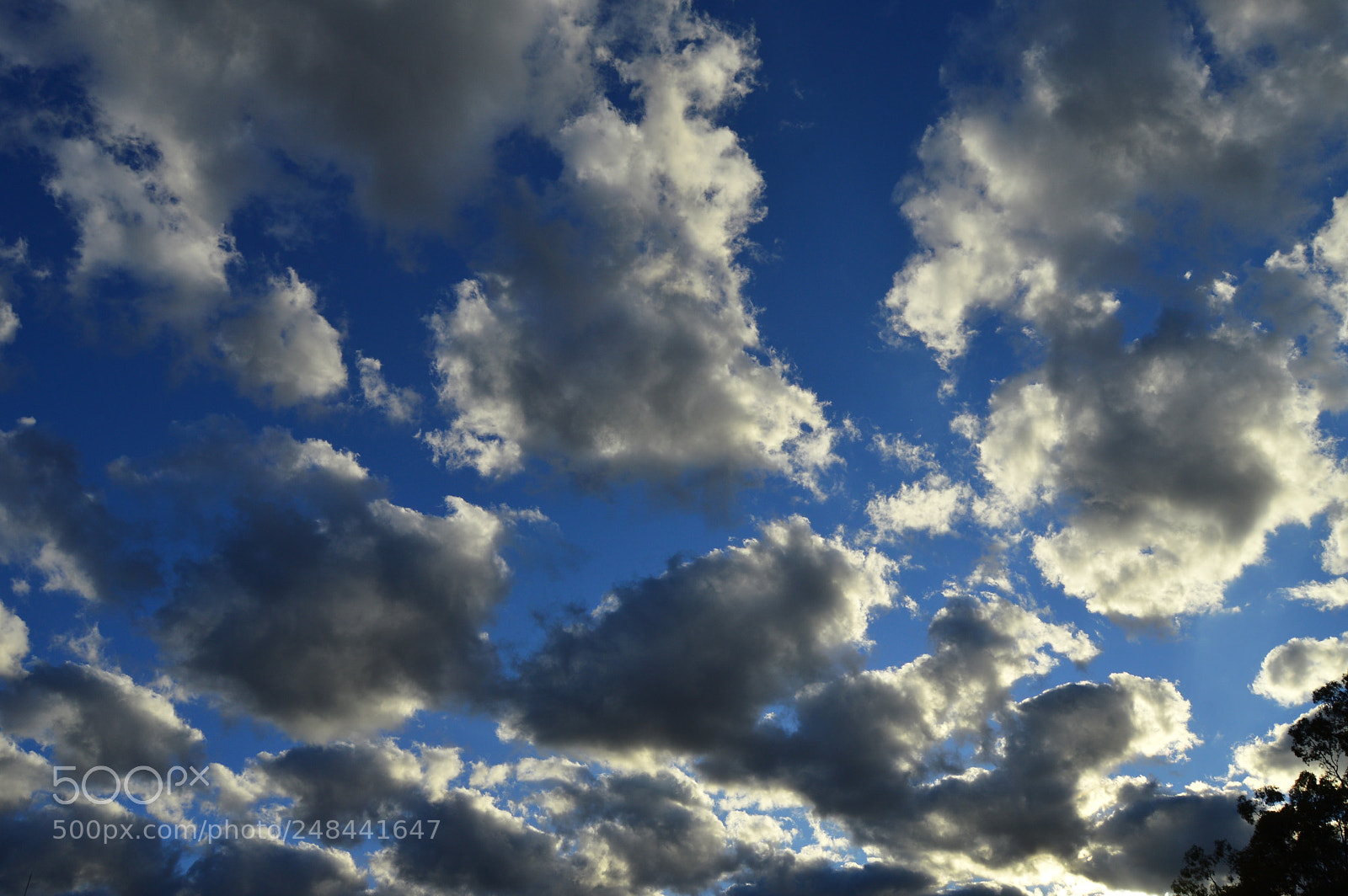 Nikon D3200 sample photo. Moody skies photography
