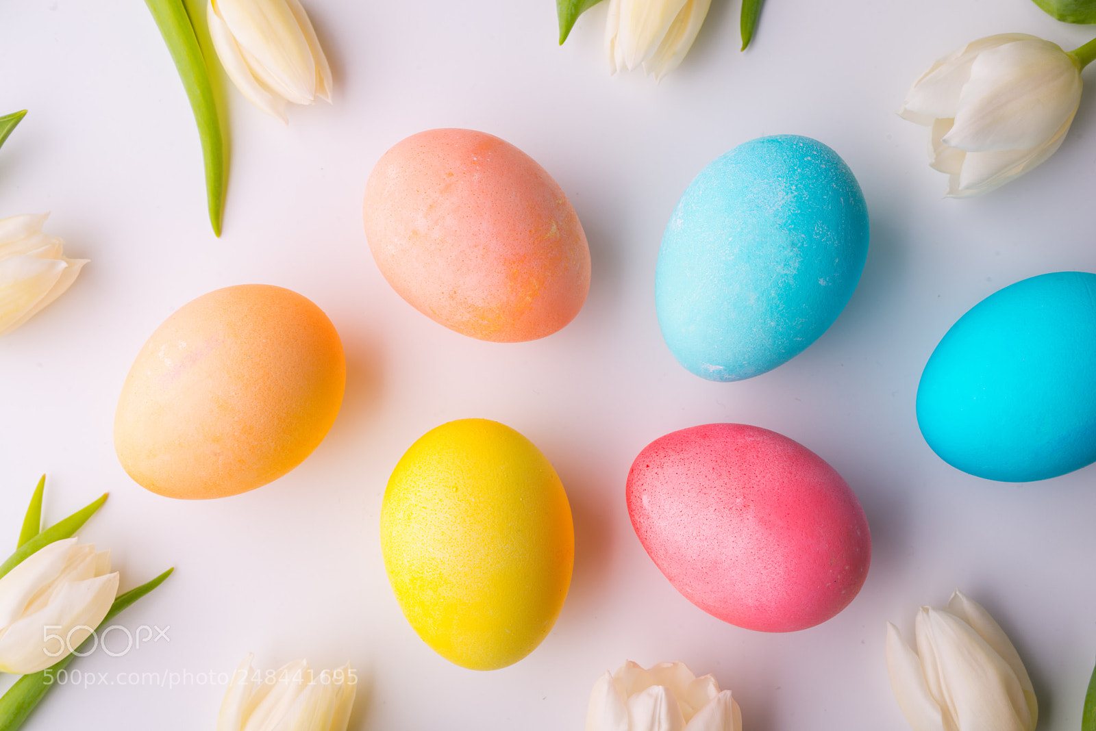Nikon D800 sample photo. Flowers and colorful eggs photography