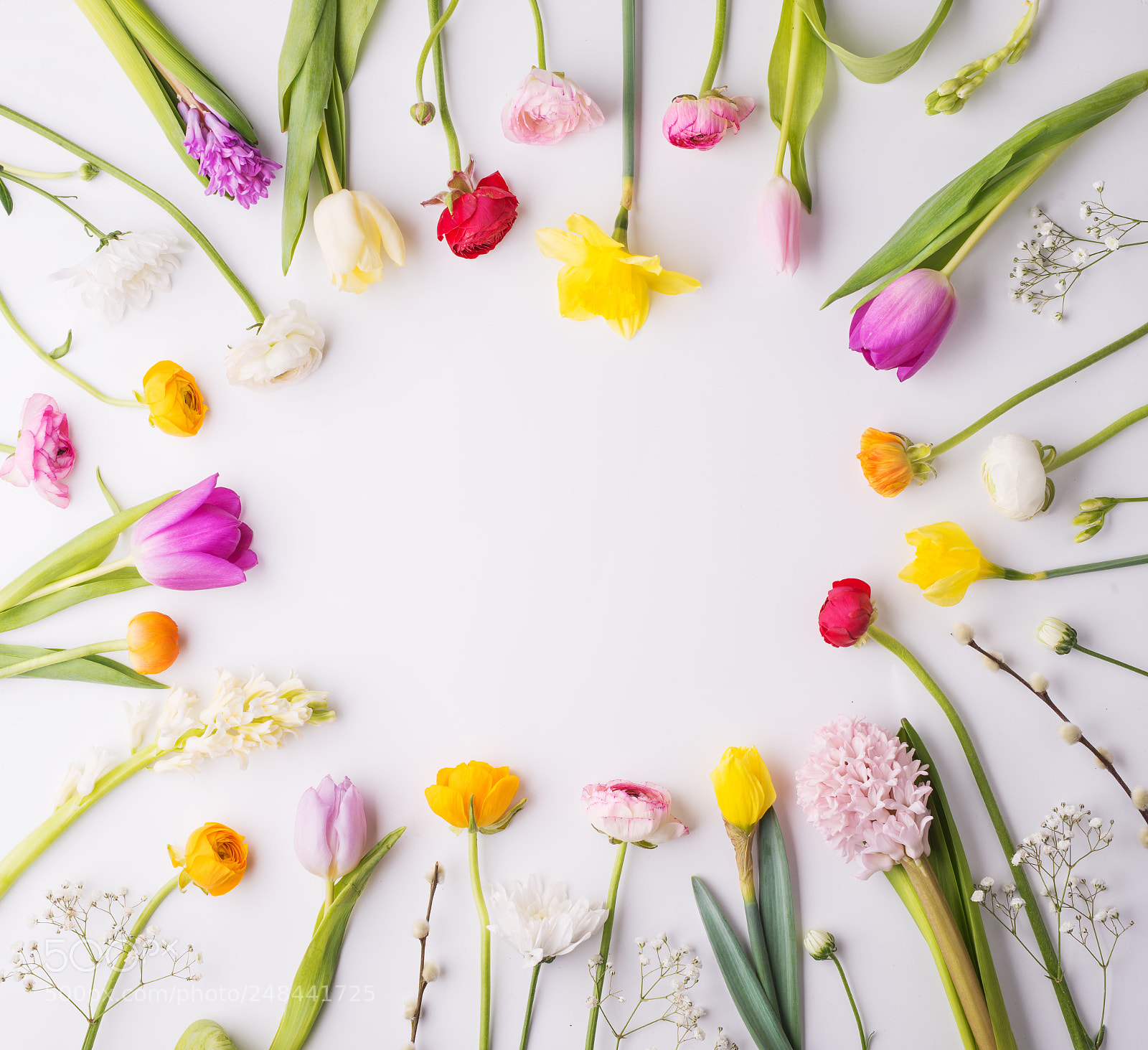Nikon D800 sample photo. Flowers on a white photography