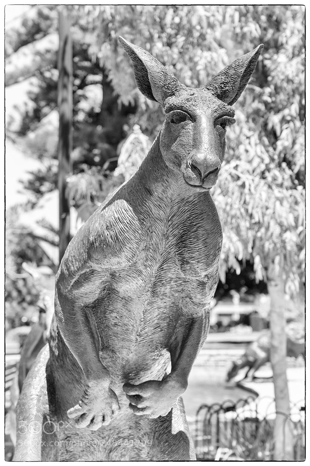 Sony a7R II sample photo. Statue of kangaroo, perth photography
