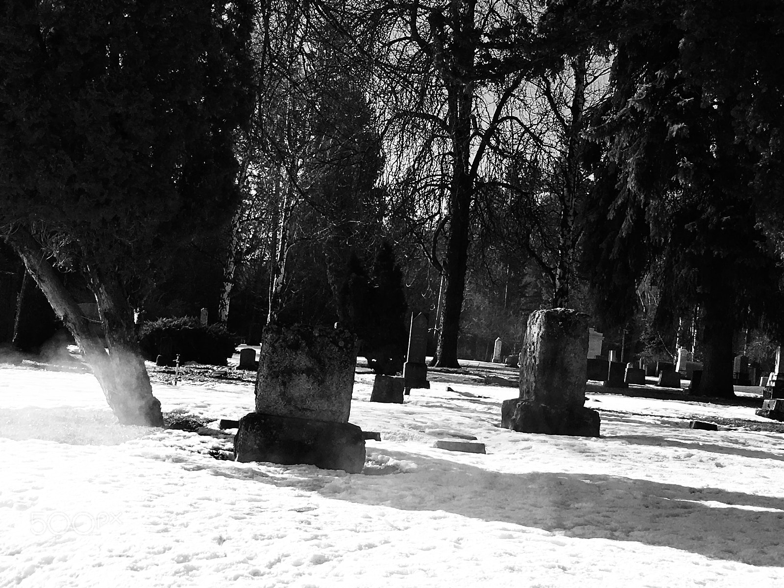 Apple iPhone 6s Plus sample photo. Greenwood on ice  photography