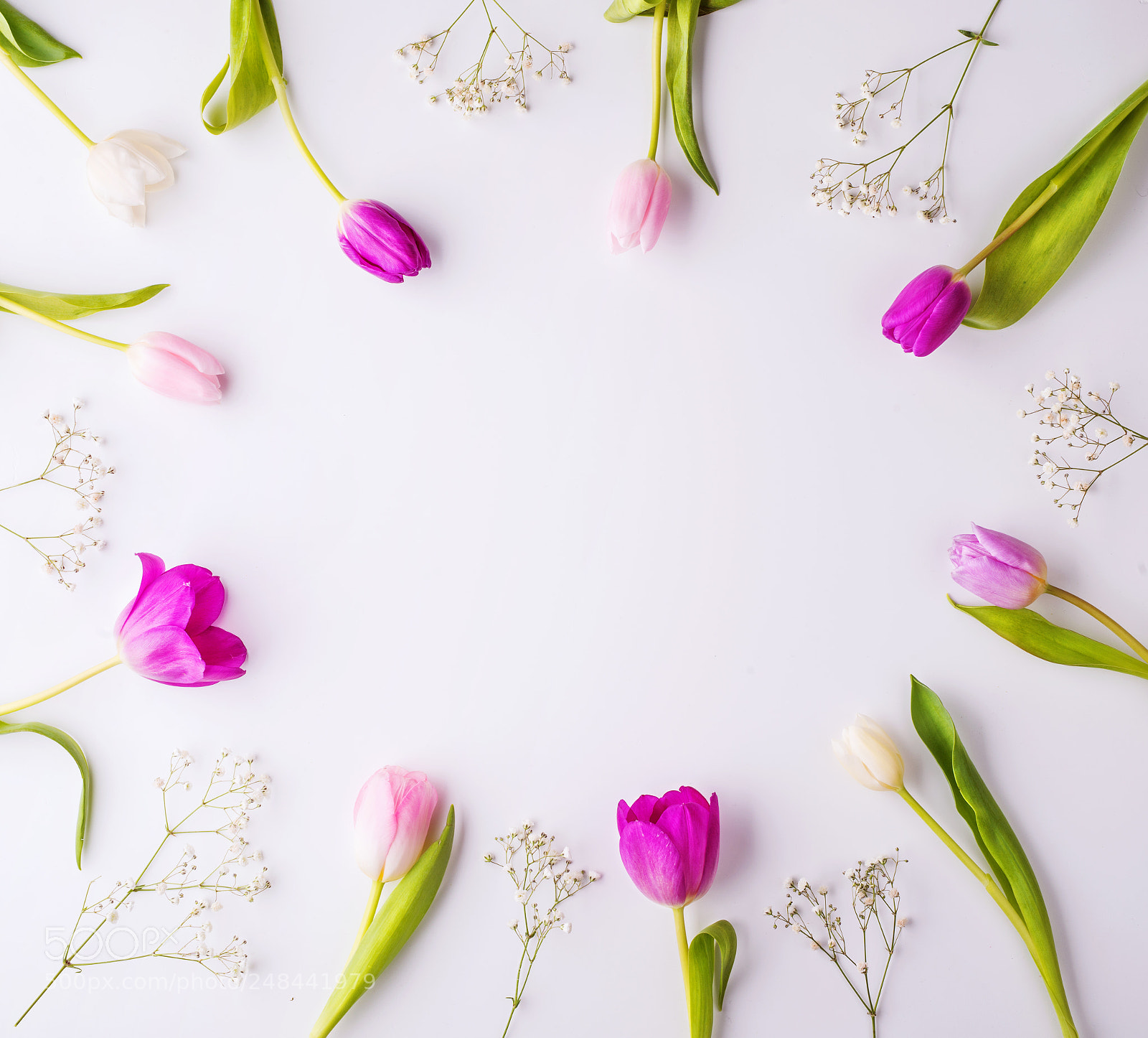 Nikon D800 sample photo. Flowers on a white photography