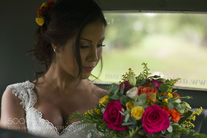 Sony Alpha DSLR-A850 sample photo. Novia llegando photography