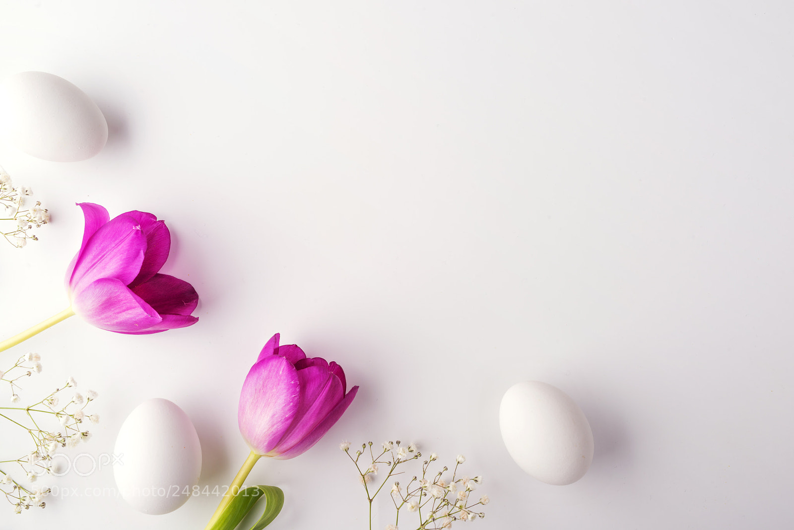 Nikon D800 sample photo. Flowers and white eggs photography