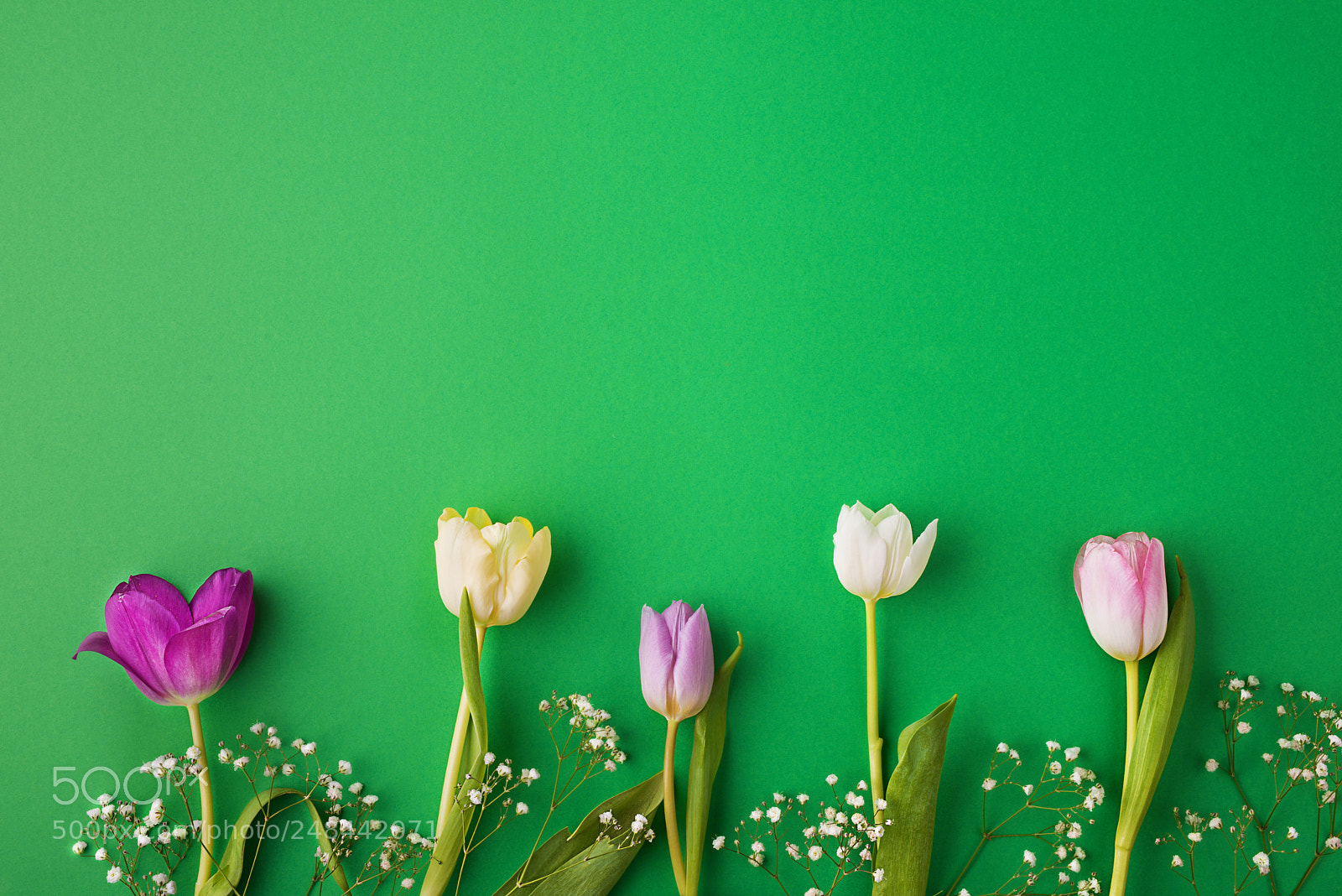 Nikon D800 sample photo. Pink flowers on a photography