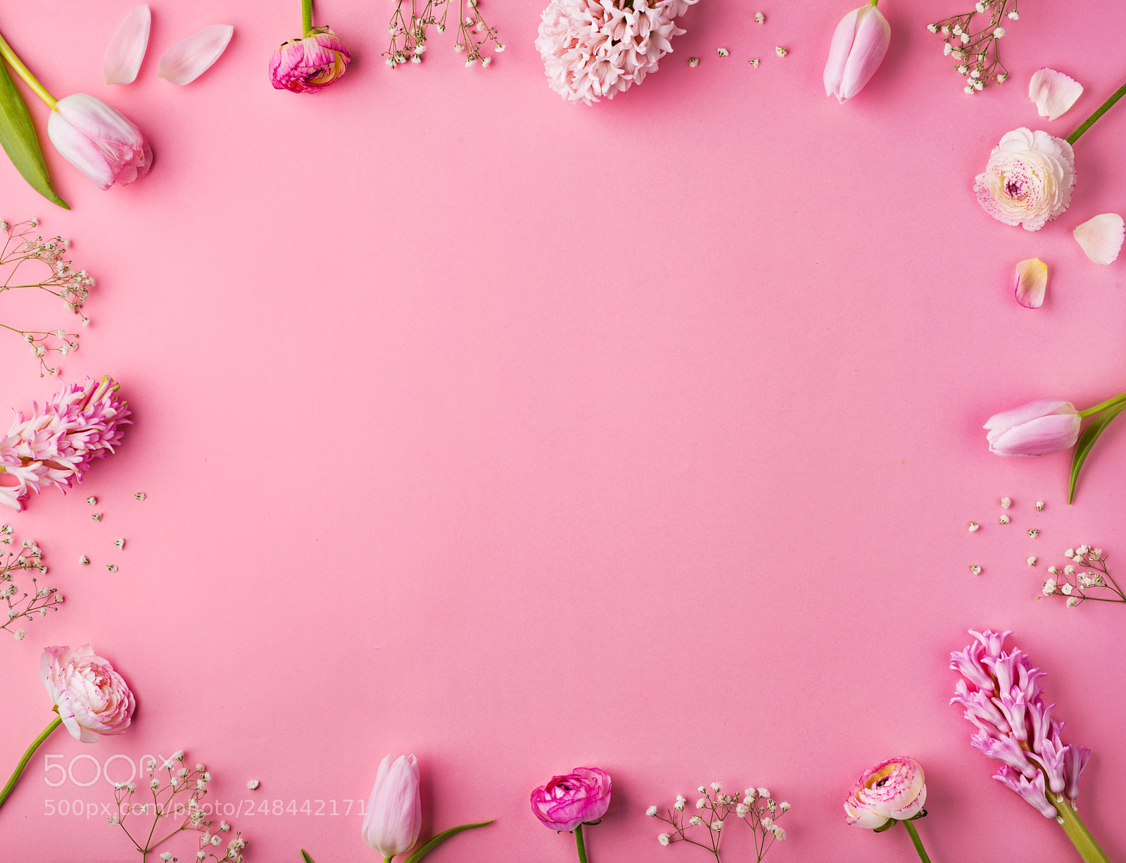 Nikon D800 sample photo. Pink flowers on a photography
