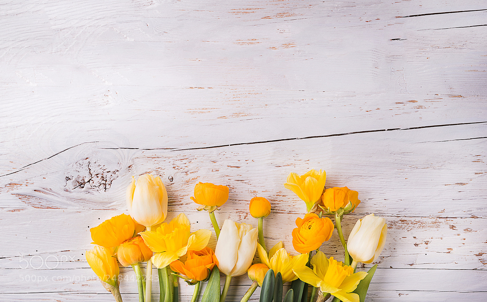 Nikon D800 sample photo. Yellow flowers on a photography