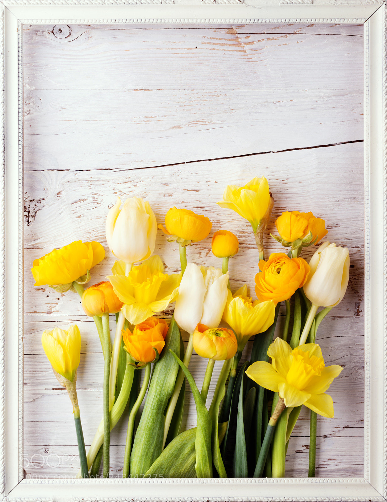 Nikon D800 sample photo. Yellow flowers on a photography