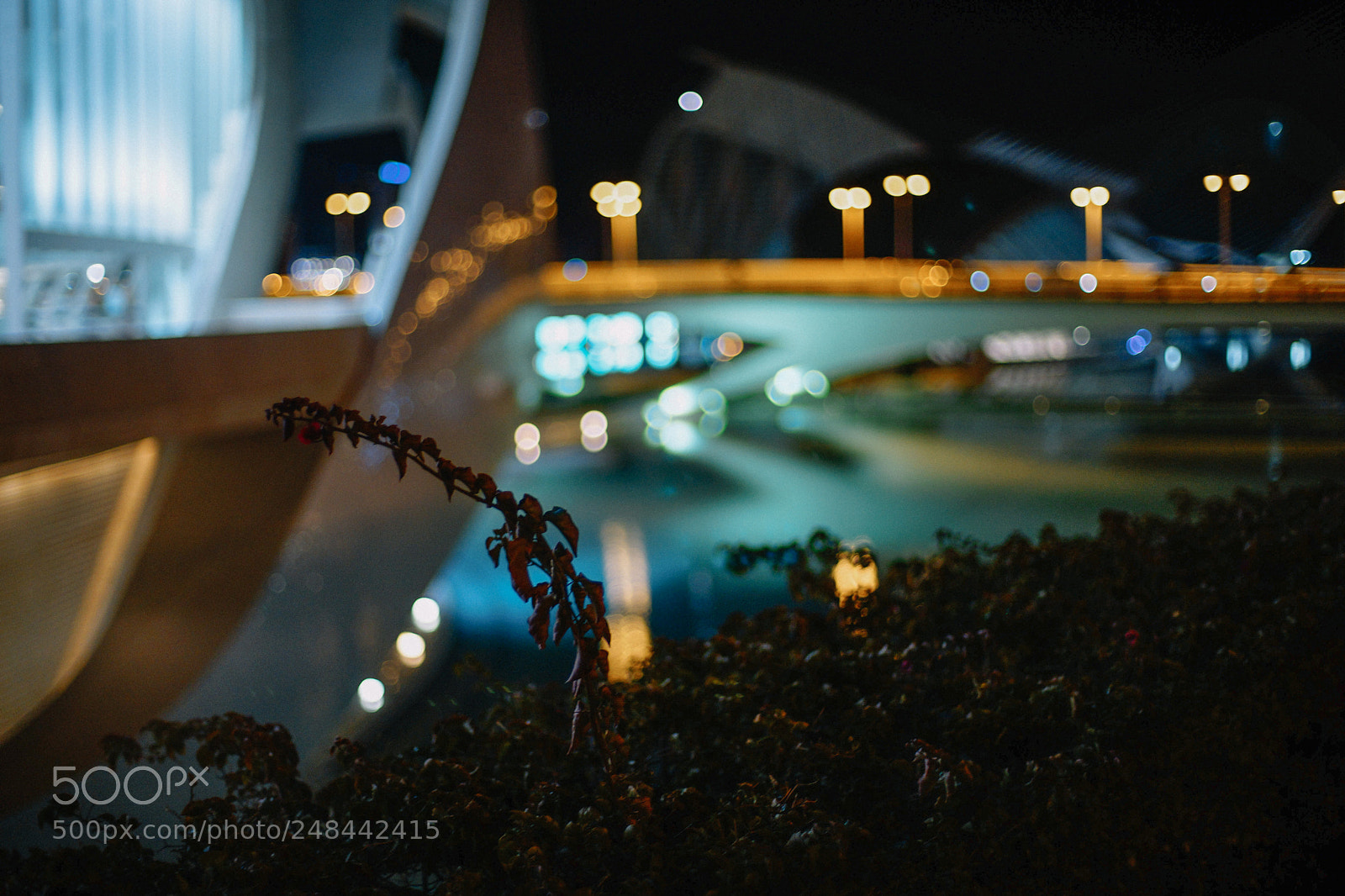 Sony a7 sample photo. Dsc photography