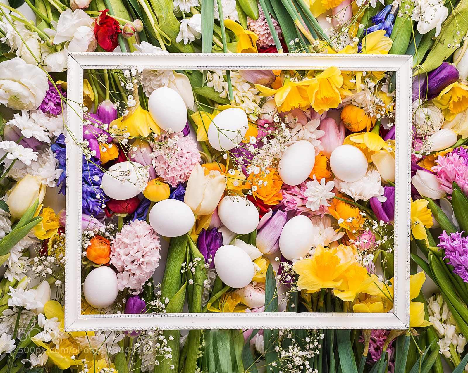 Nikon D800 sample photo. Colorful flowers and white photography