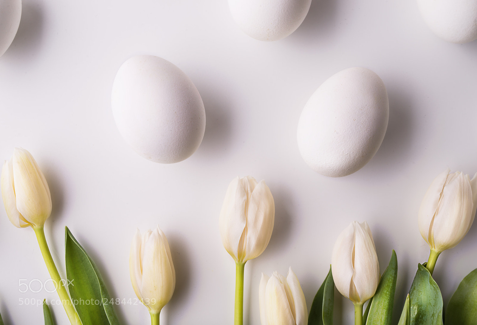 Nikon D800 sample photo. Flowers and white eggs photography