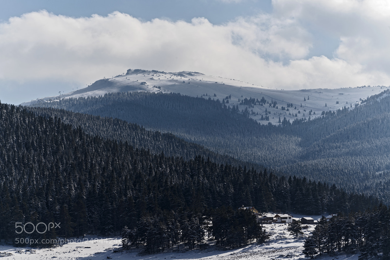 Sony a7R III sample photo. Dsc photography