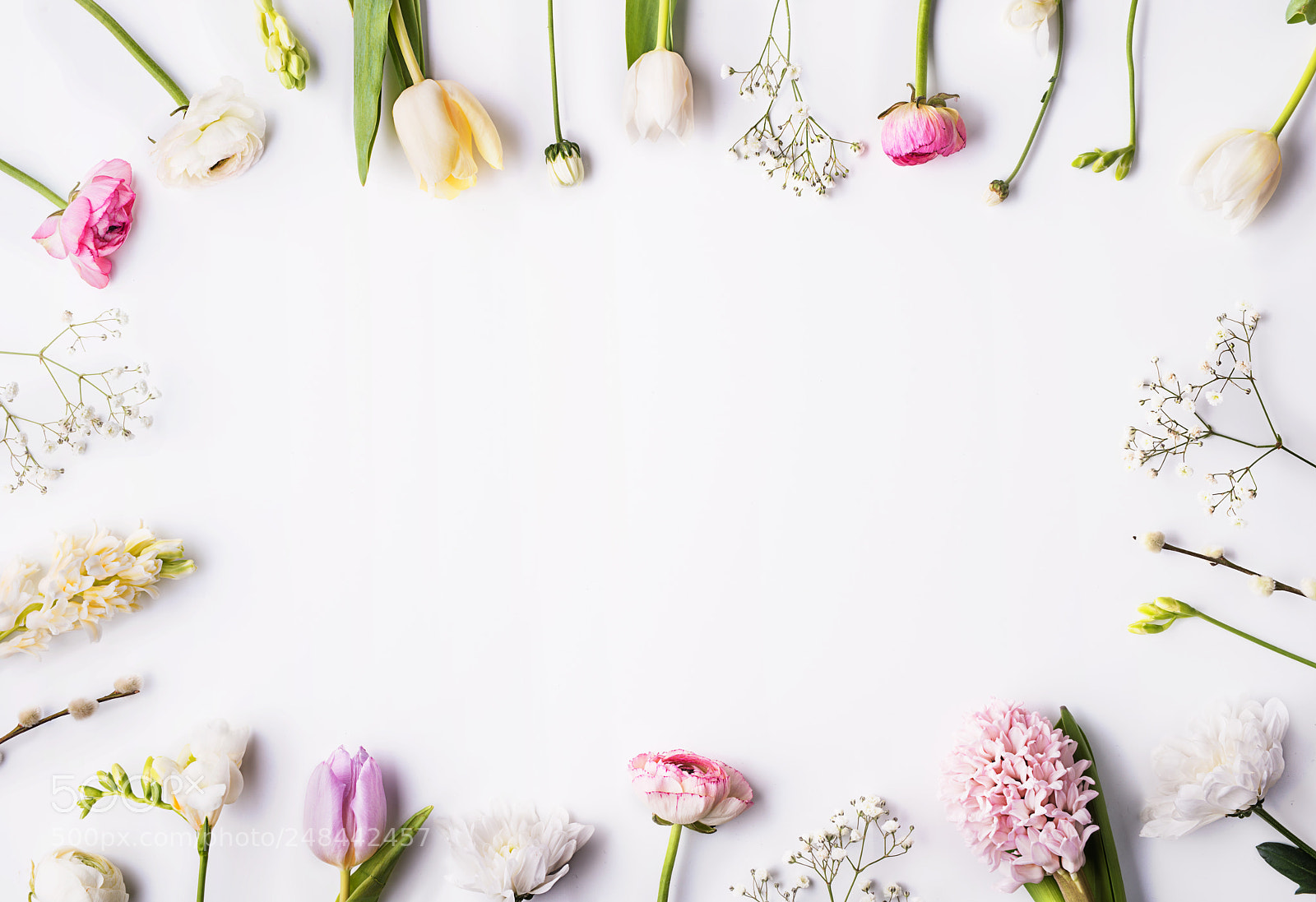 Nikon D800 sample photo. Flowers on a white photography