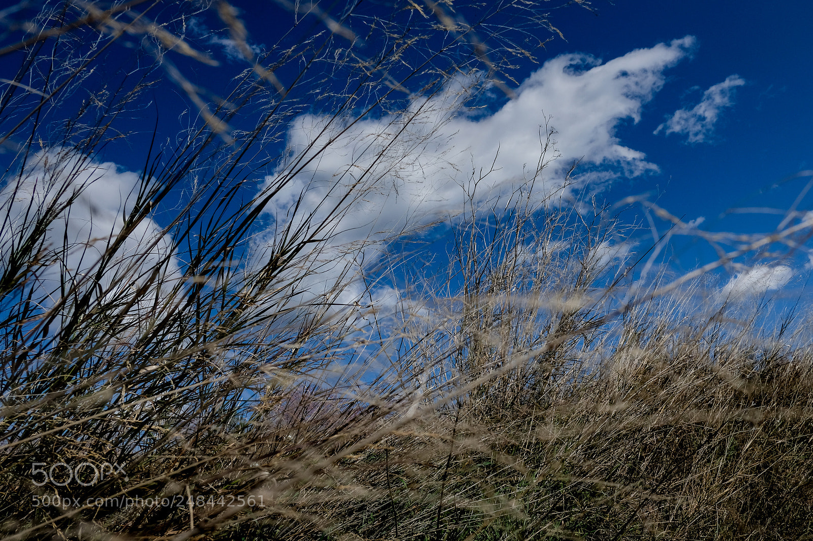 Fujifilm X-T2 sample photo. Untitled photography