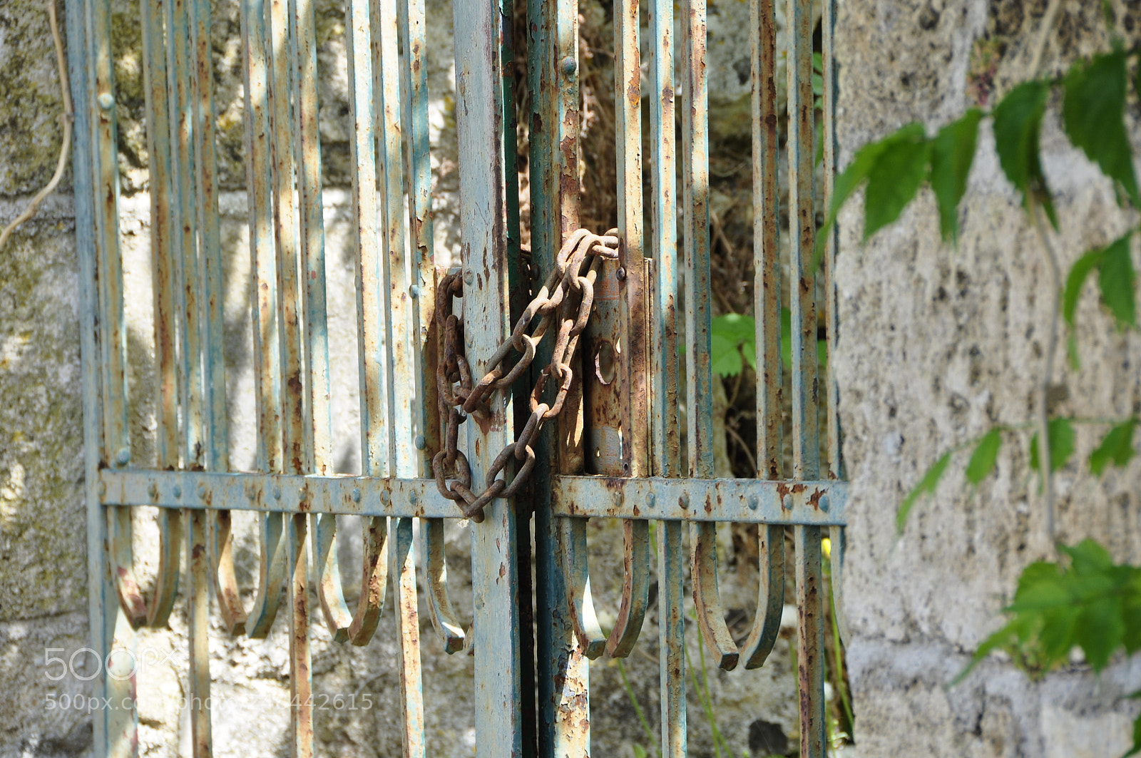 Nikon D90 sample photo. Greece. photography