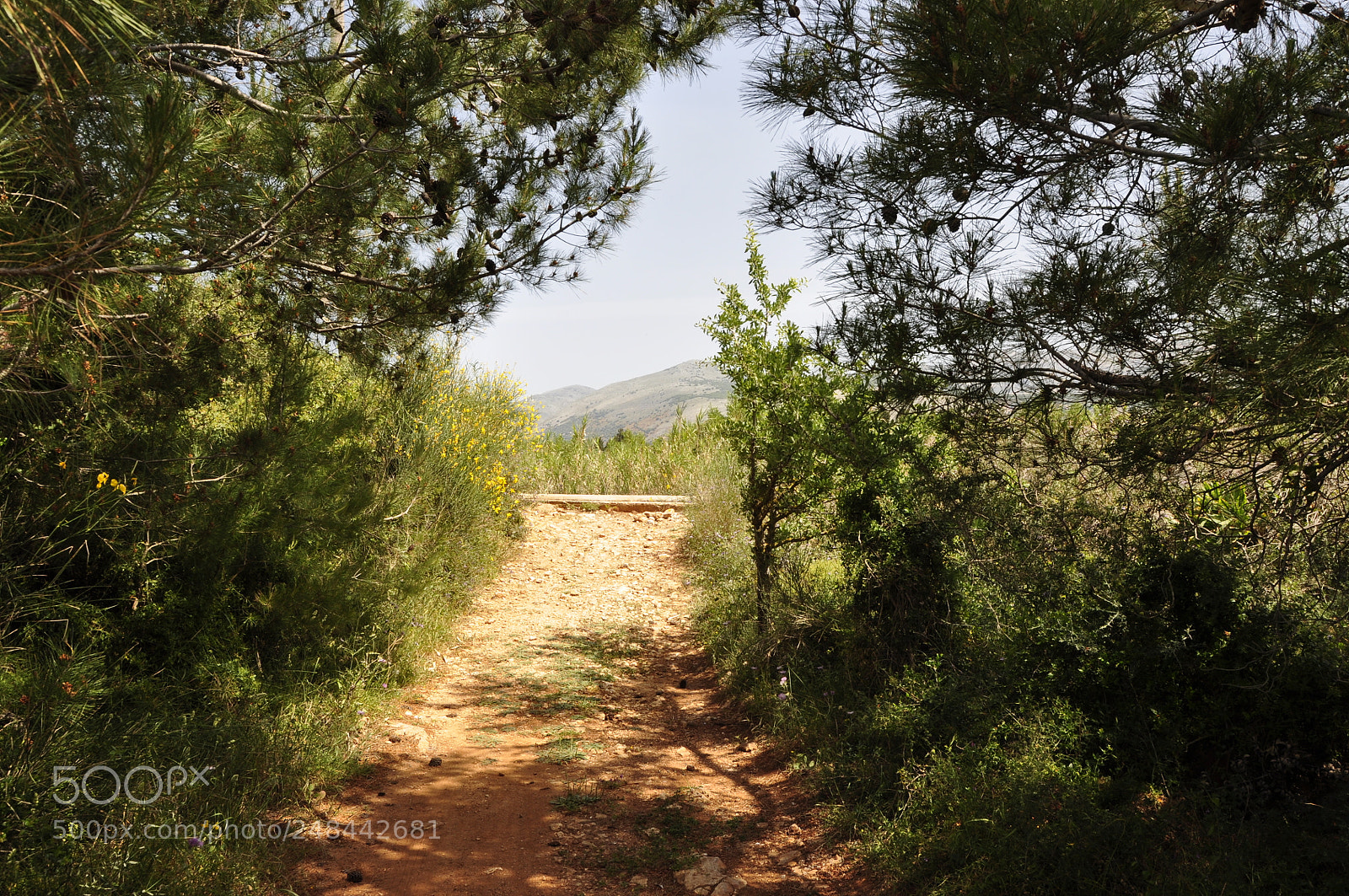 Nikon D90 sample photo. Greece. photography