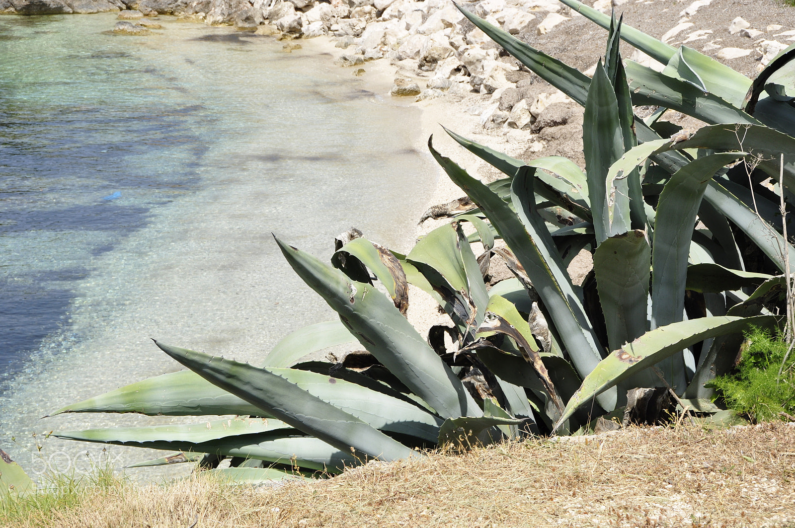 Nikon D90 sample photo. Greece. photography