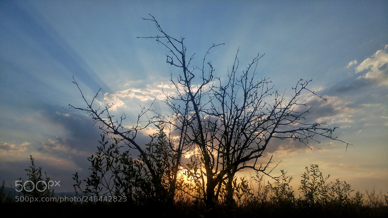 LG G5 sample photo. Untitled photography