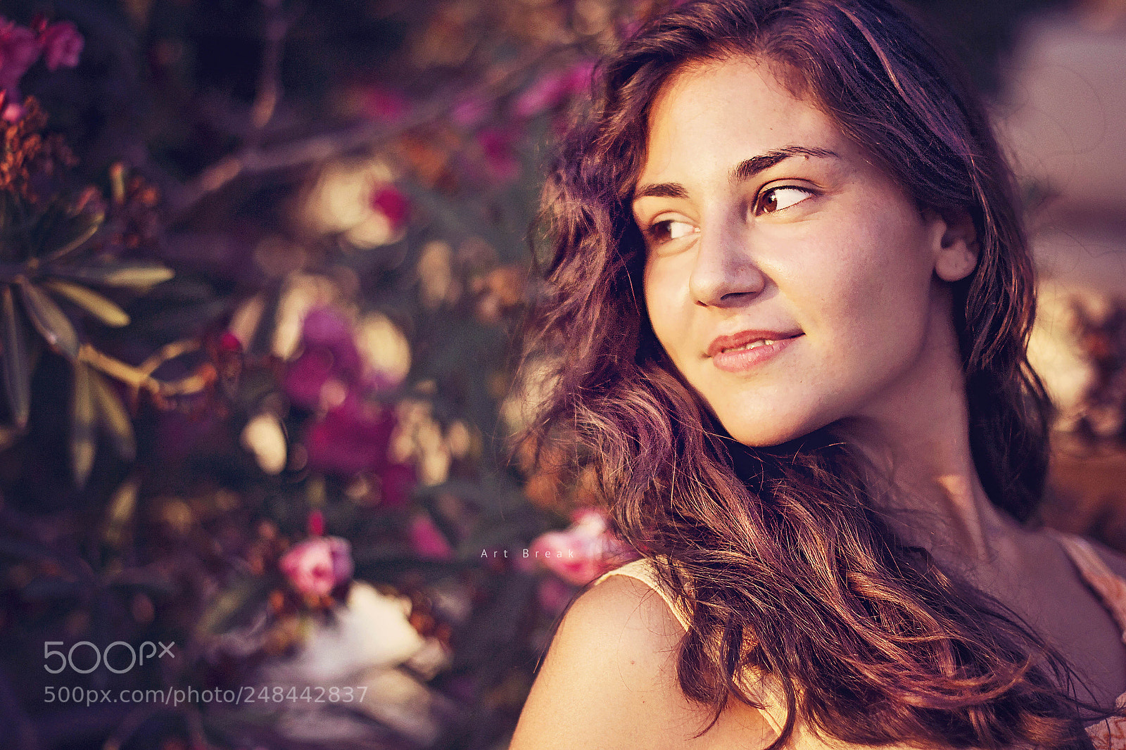 Nikon D3100 sample photo. Pink light photography