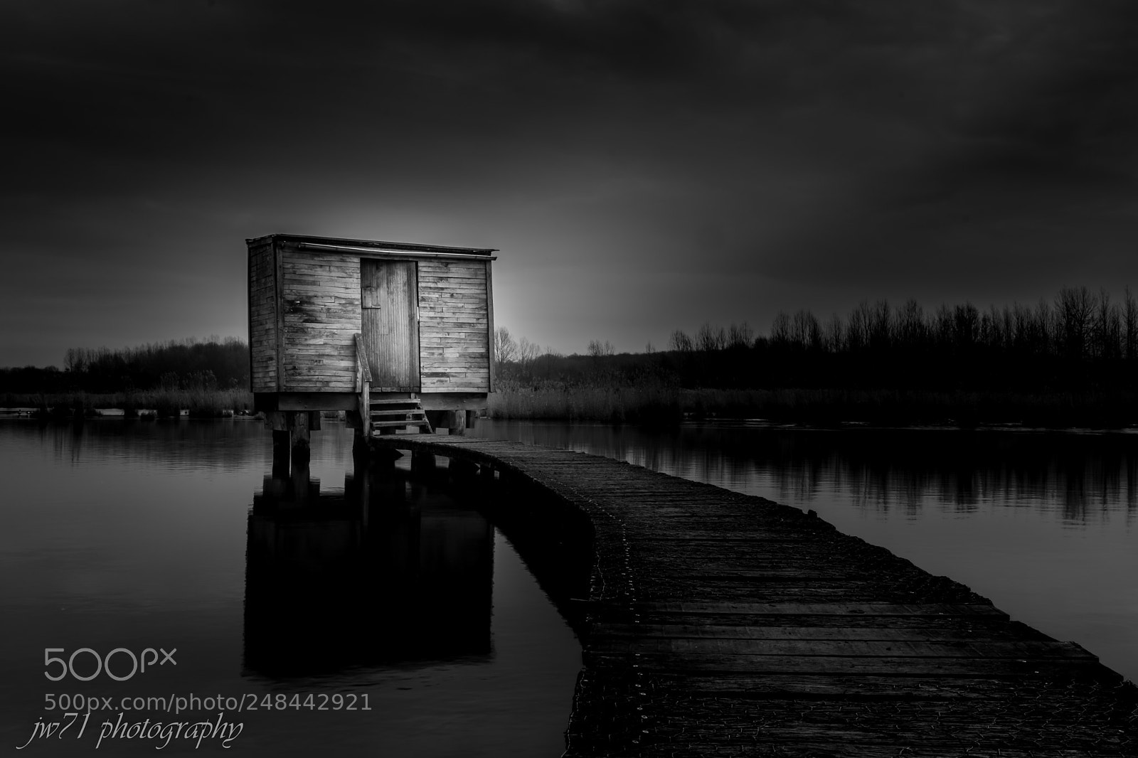 Nikon D5200 sample photo. Het vinne zoutleeuw bw photography