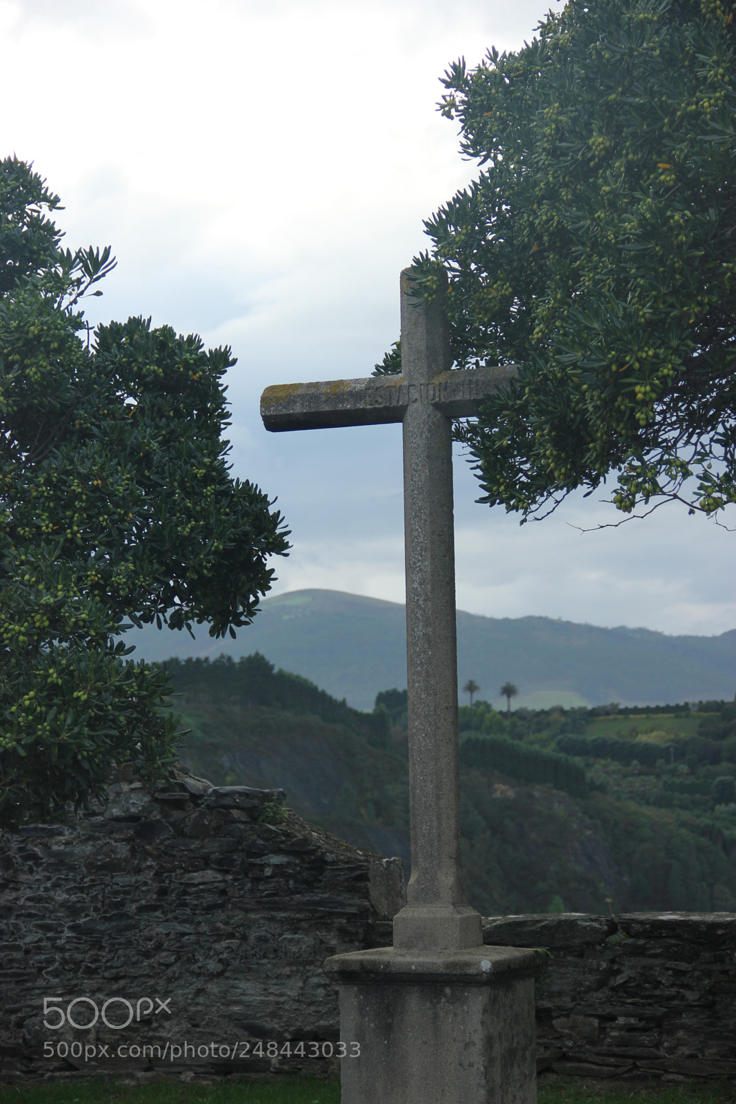 Canon EF-S 18-135mm F3.5-5.6 IS sample photo. Stone cross hidden in photography