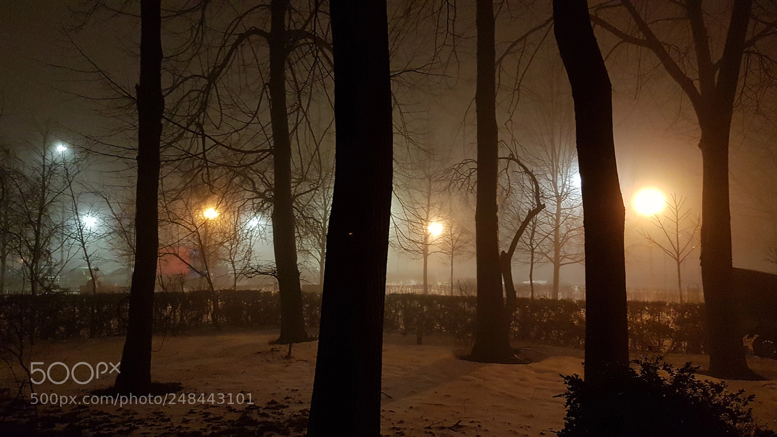 Samsung Galaxy S7 Edge sample photo. Foggy night photography
