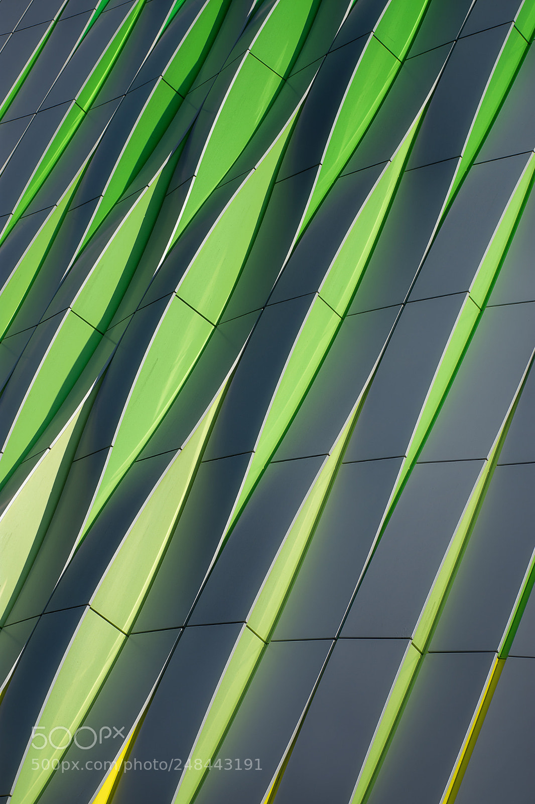 Nikon D7200 sample photo. Green waves photography