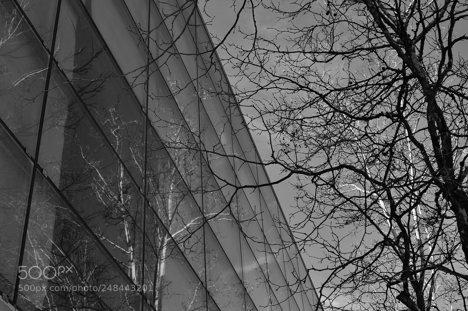 Nikon D3200 sample photo. Mirroring photography