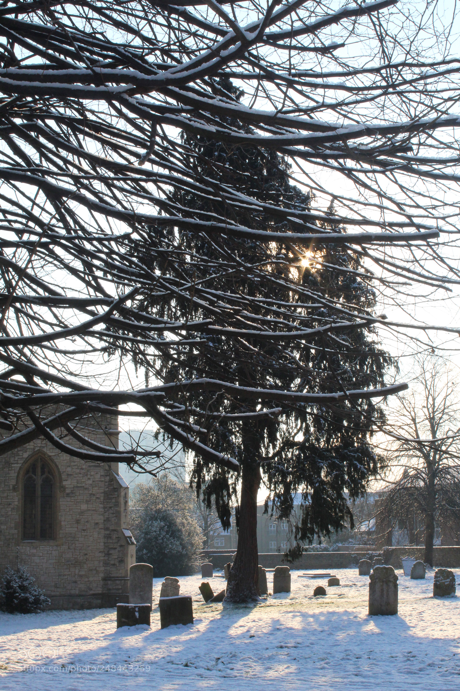 Canon EOS 1300D (EOS Rebel T6 / EOS Kiss X80) sample photo. Snowy graveyard photography