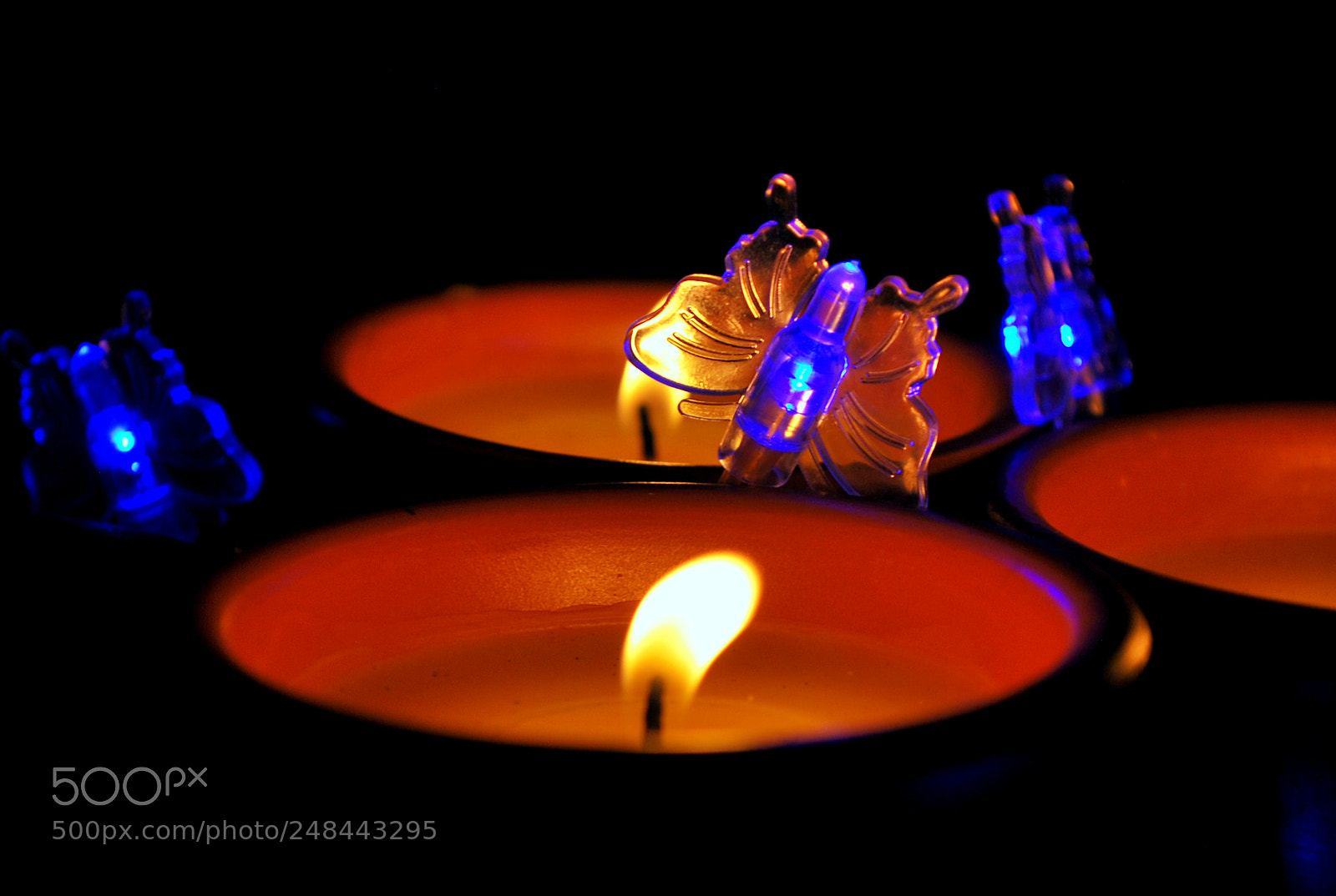 Nikon D60 sample photo. Firefly photography