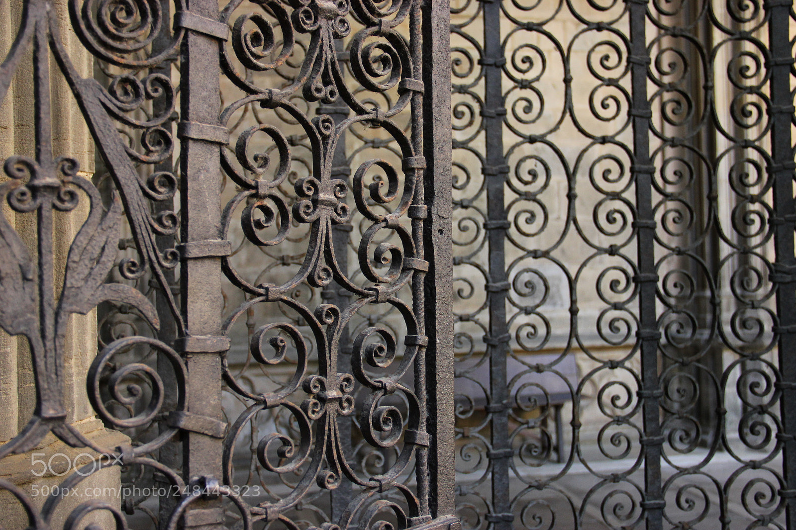 Canon EF-S 18-135mm F3.5-5.6 IS sample photo. Beautiful grids on the photography