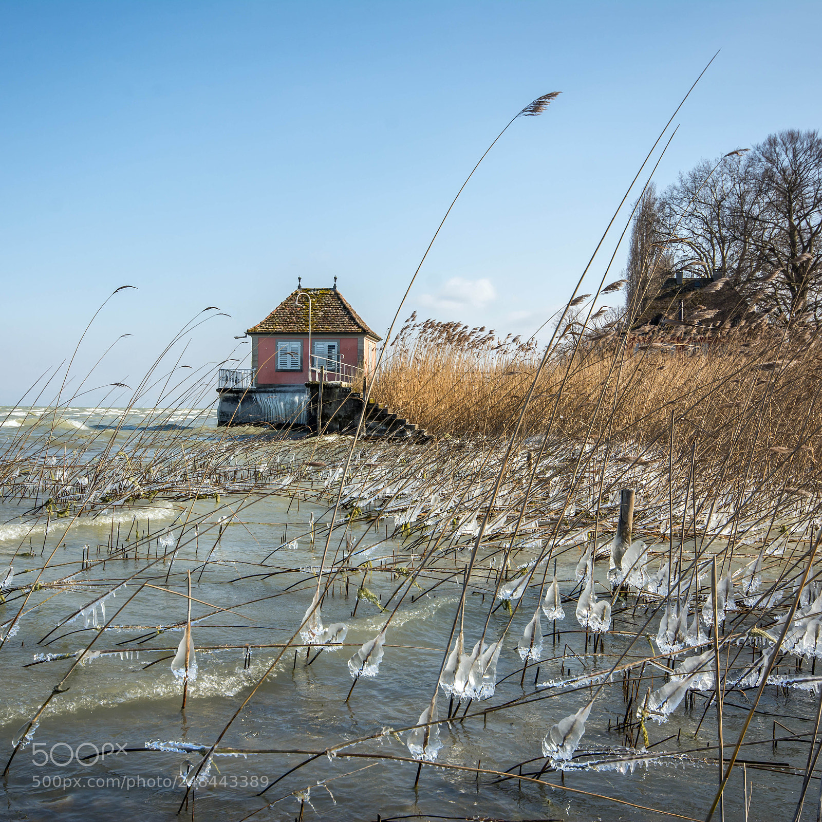 Nikon D7100 sample photo. Vaseneis photography