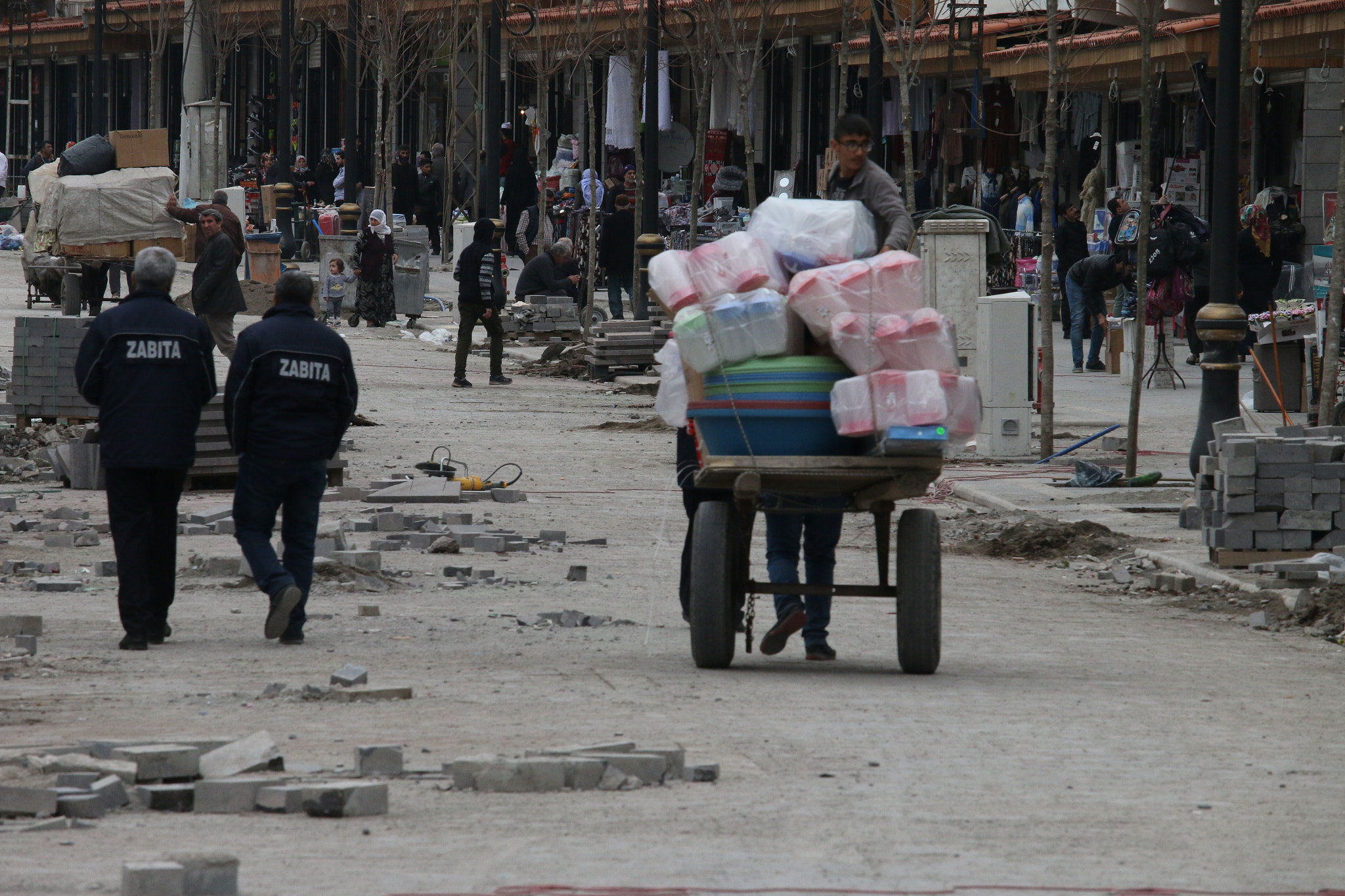 Canon EF-S 55-250mm F4-5.6 IS STM sample photo. Diyarbakır photography