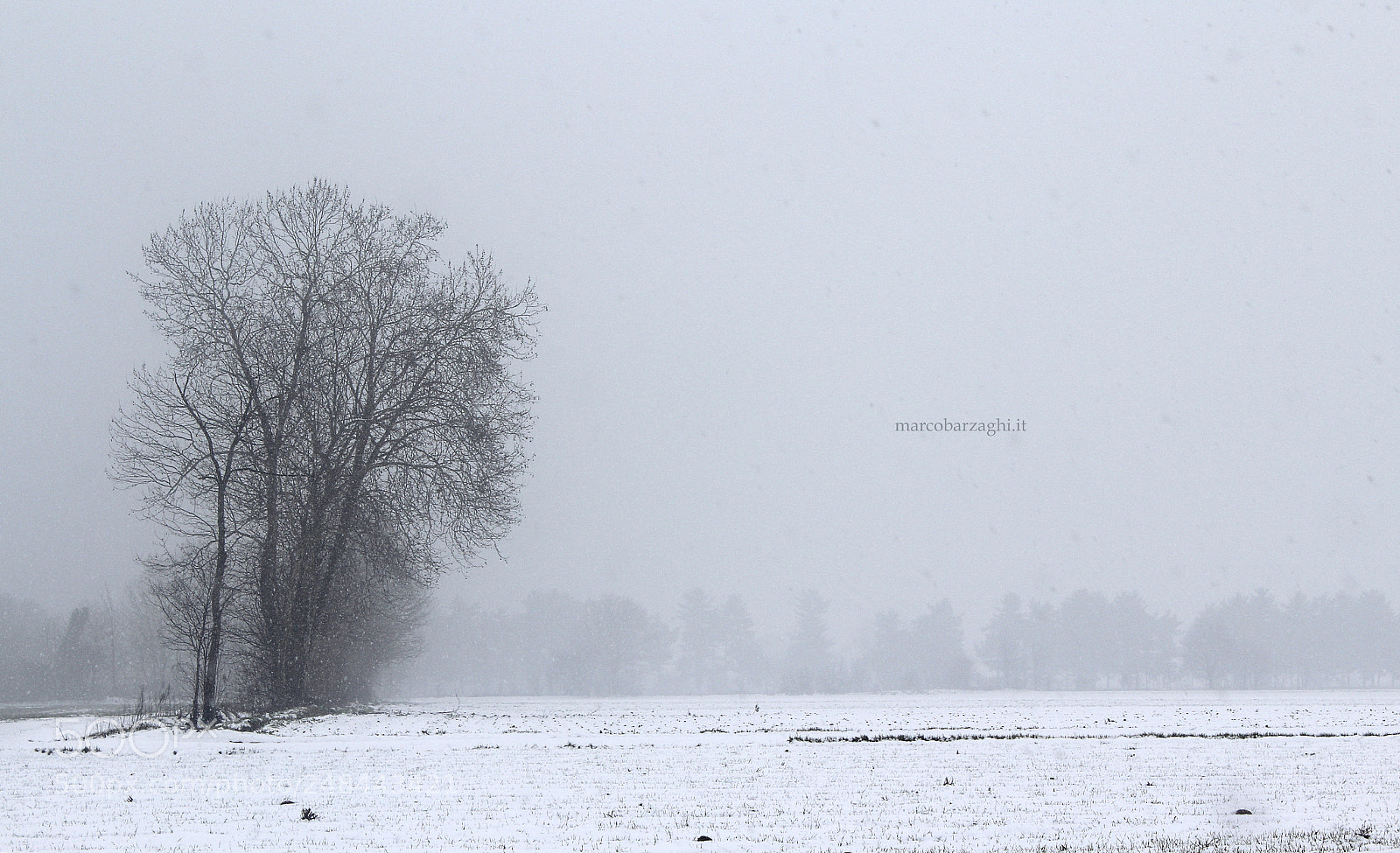 Canon EOS 600D (Rebel EOS T3i / EOS Kiss X5) sample photo. Winter in the countryside photography