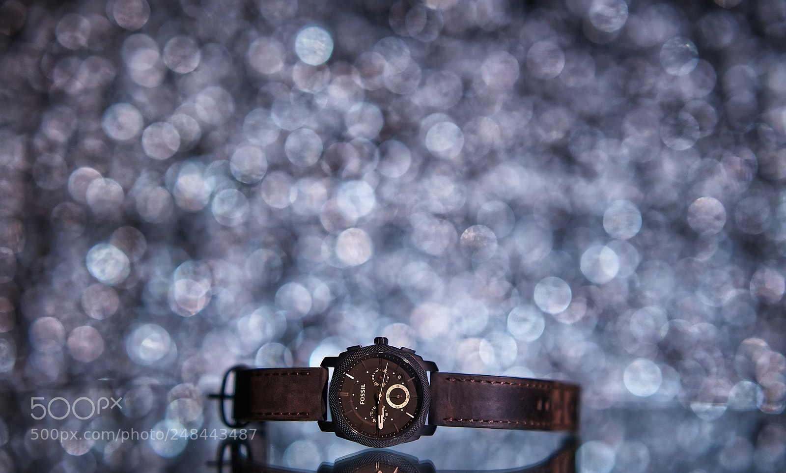 Sony a7 II sample photo. Fossil photography