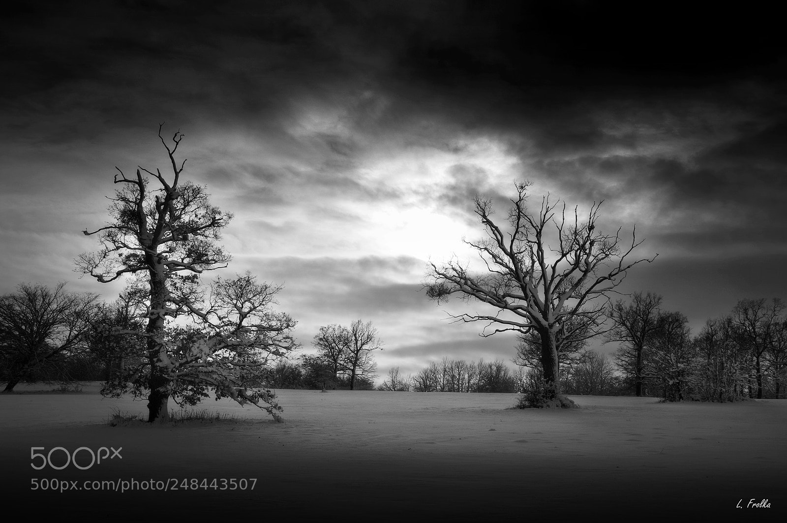 Pentax K20D sample photo. Standing together photography