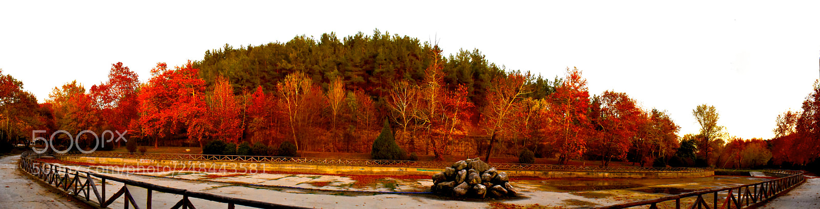 Nikon D3400 sample photo. Autumn photography