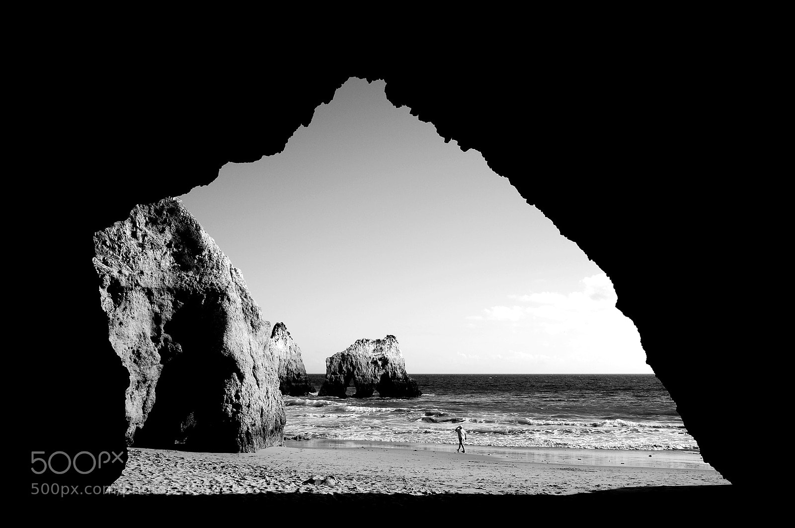 Nikon D5000 sample photo. Black and white photography
