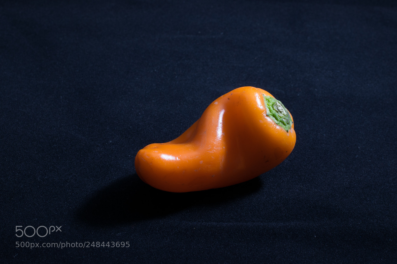 Nikon D5300 sample photo. Curvature photography