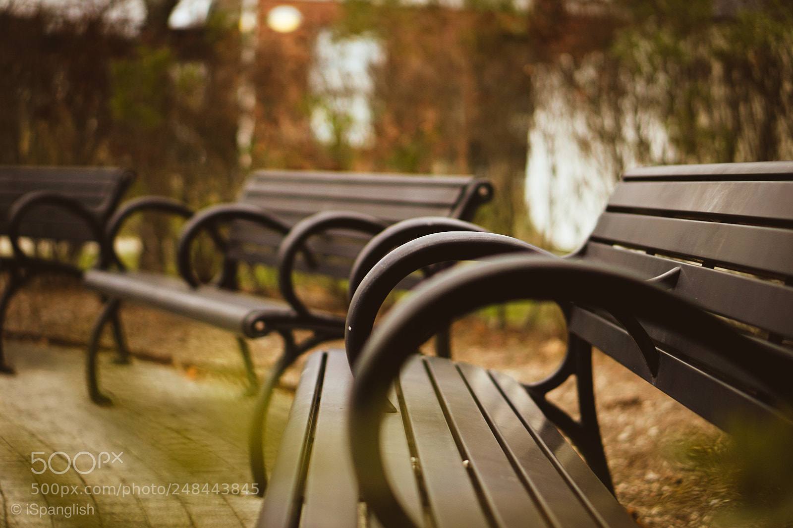 Sony a6000 sample photo. Img photography