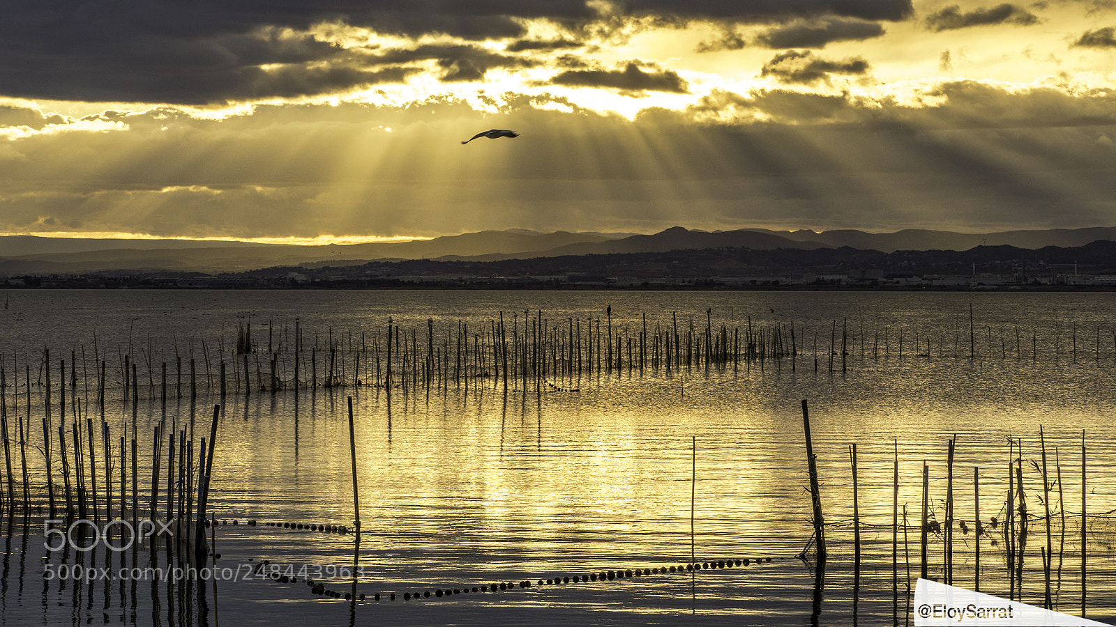 Olympus OM-D E-M5 II sample photo. Sunset in albufera de photography