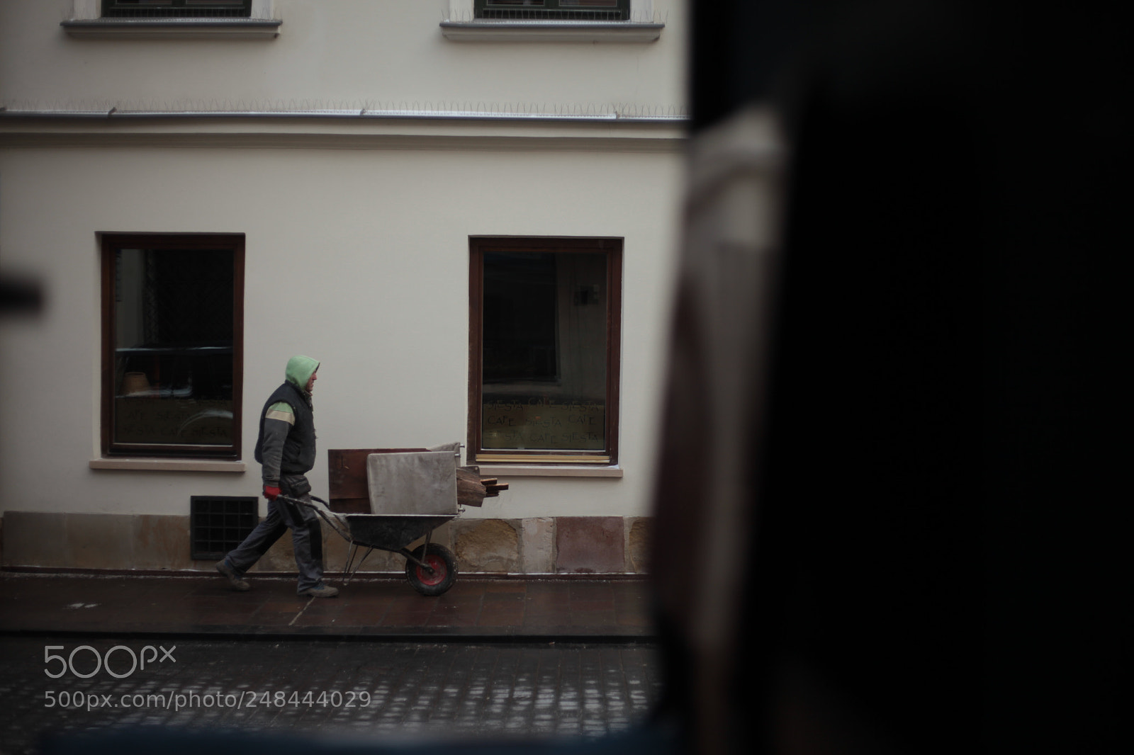 Canon EF 50mm F1.8 STM sample photo. P photography