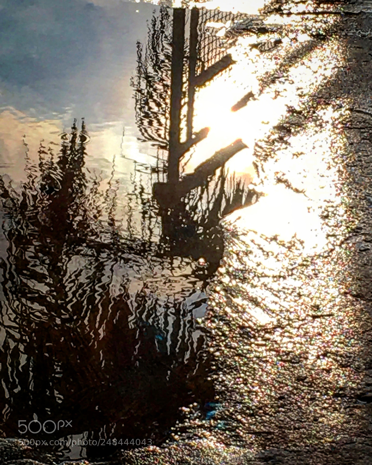 Apple iPhone SE sample photo. Untitled photography