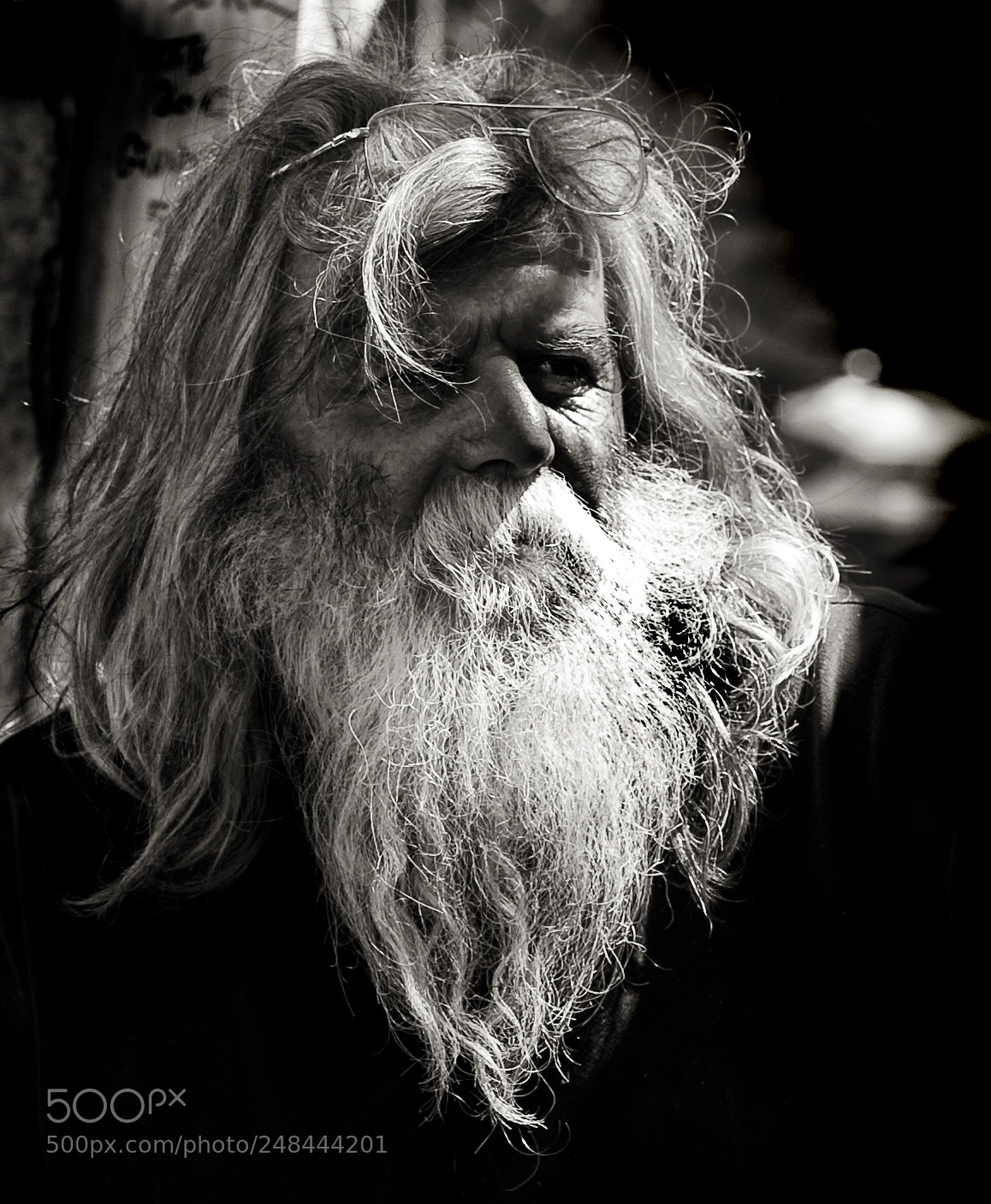 Nikon D700 sample photo. Bearded man photography