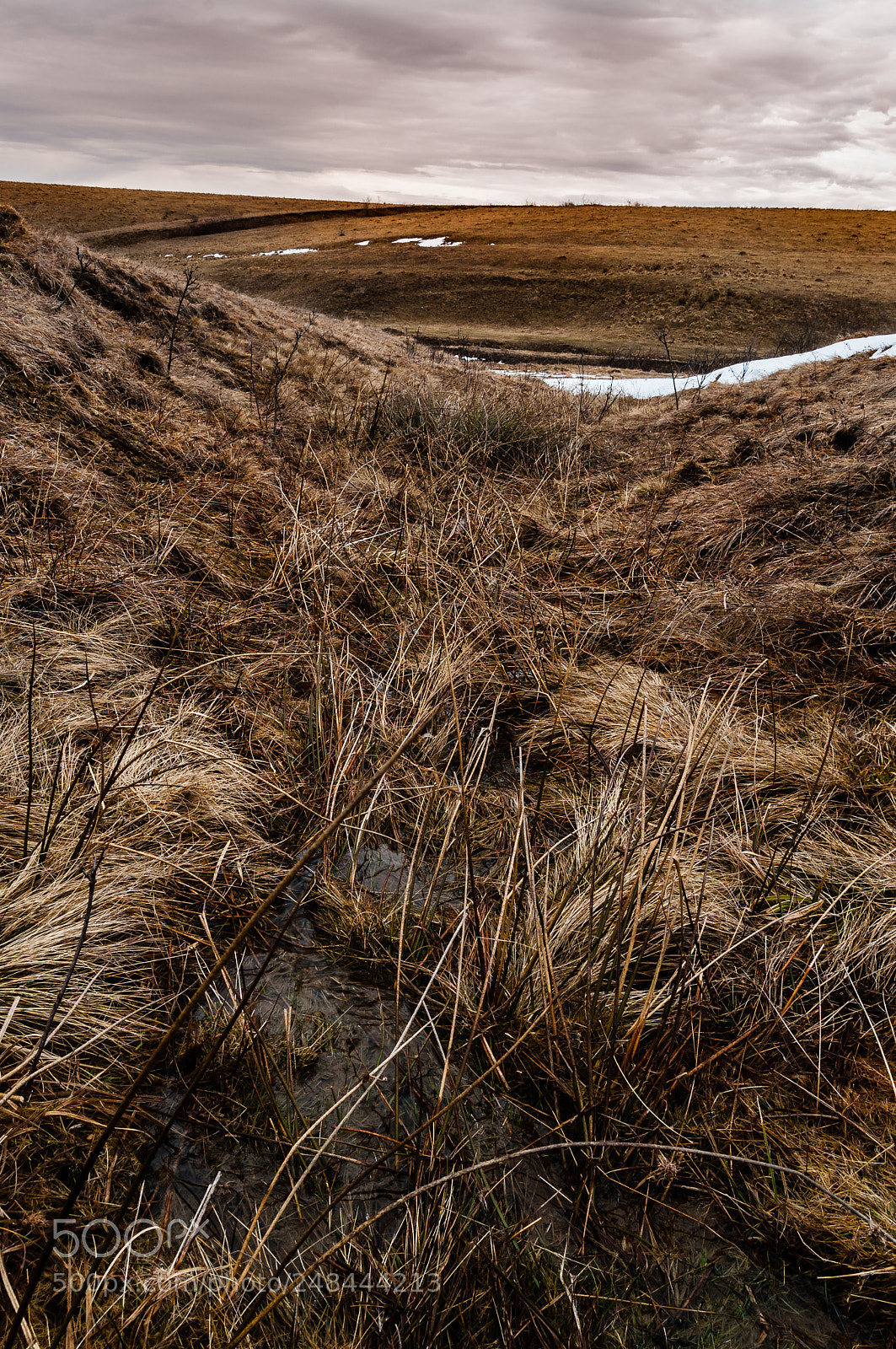 Nikon D90 sample photo. Overcast day photography